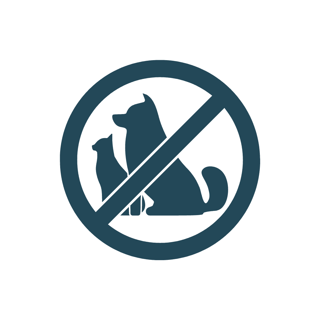 no cats or dogs no cats or dogs